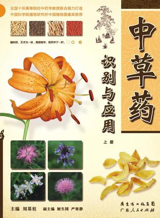 中草药识别与应用(上册)