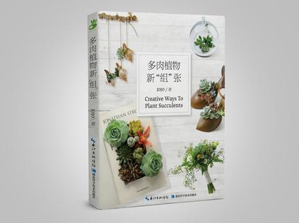 多肉植物新“组”张