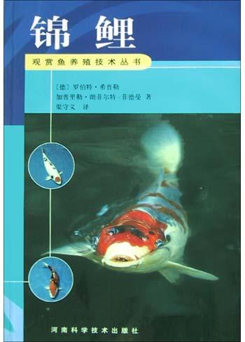 锦鲤