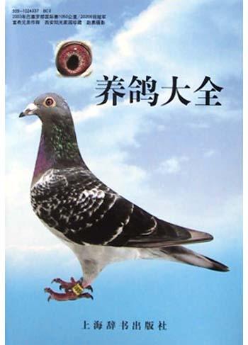 养鸽大全