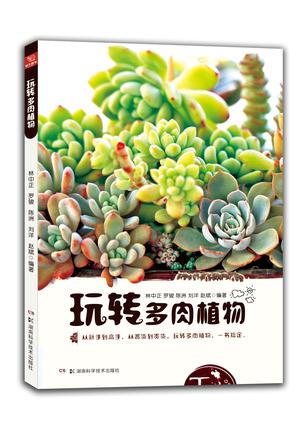 玩转多肉植物