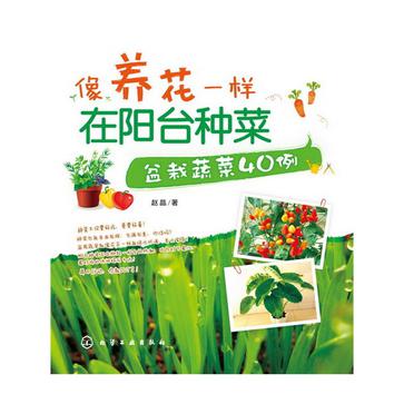 像养花一样在阳台种菜