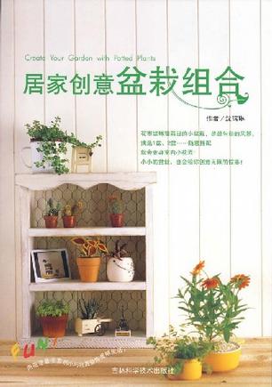 居家创意盆栽组合