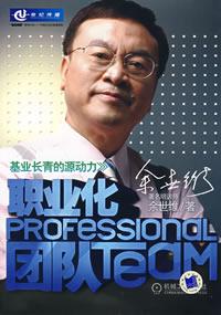 职业化团队