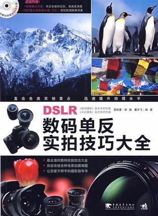 数码单反实拍技巧大全