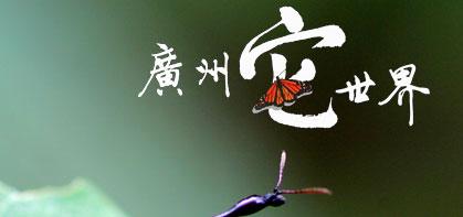 广州它世界