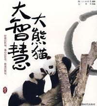 大熊猫大智慧