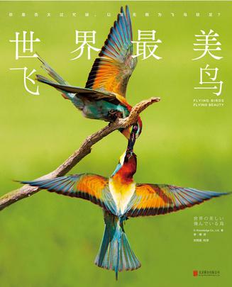 世界最美飞鸟