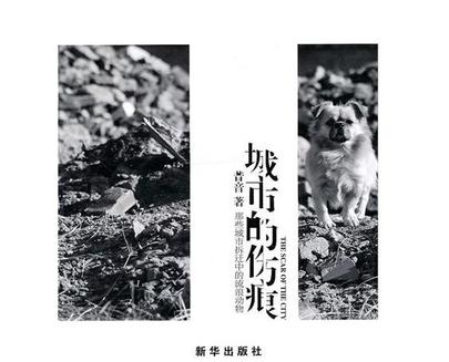 城市的伤痕