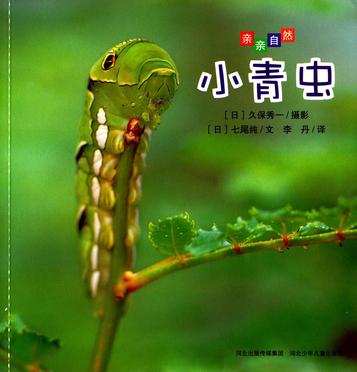 亲亲自然：小青虫