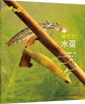 诞生了！水虿