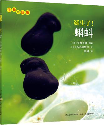 诞生了！蝌蚪