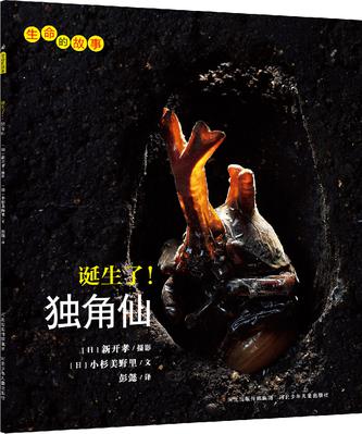 诞生了！独角仙