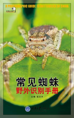 常见蜘蛛野外识别手册