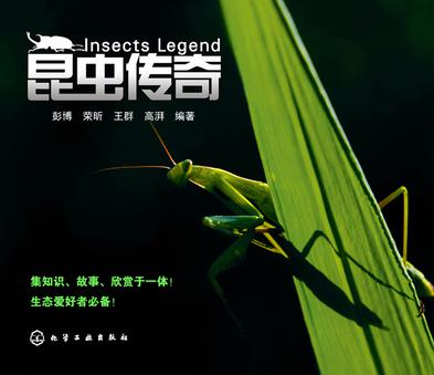 昆虫传奇