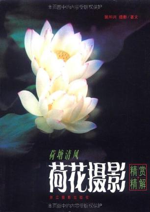 荷塘清风
