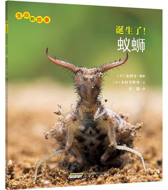 诞生了！蚁蛳
