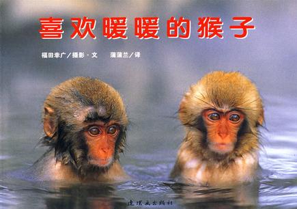 喜欢暖暖的猴子