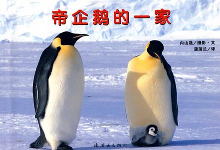 帝企鹅的一家