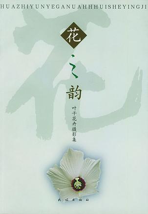 花之韵