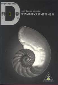 静物 1  世界影像大师作品经典