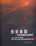 东张西望