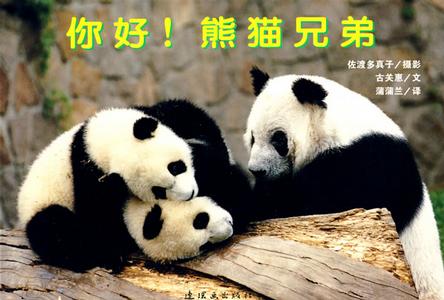 你好！熊猫兄弟