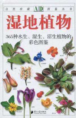 湿地植物