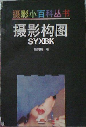 摄影小百科丛书——摄影构图