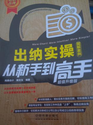 出纳实操从新手到高手（图解案例）