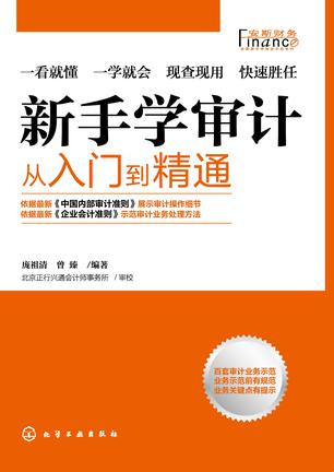 新手学审计