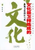 文化是怎样炼成的