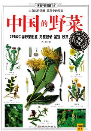 中国的野菜