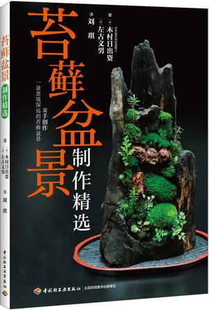 苔藓盆景制作精选