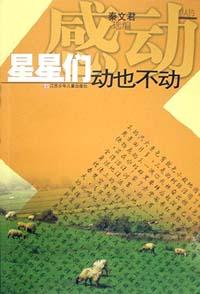 星星们动也不动