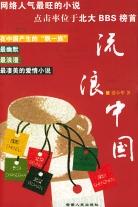 流浪中国