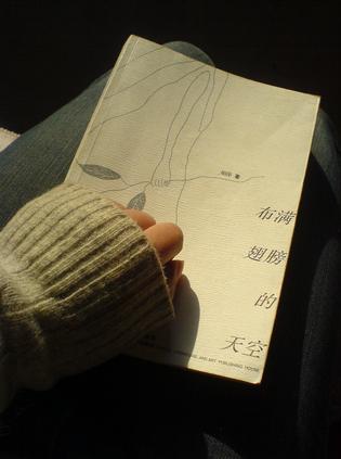 布满翅膀的天空