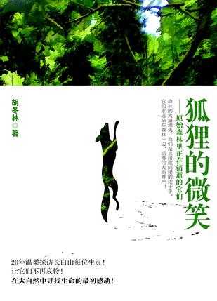 狐狸的微笑