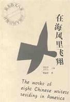 在海风里飞翔