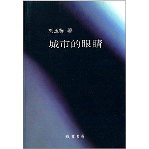 城市的眼睛