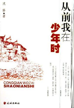 从前我在少年时