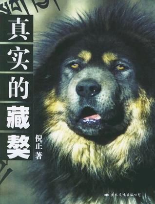 真实的藏獒