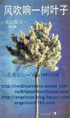 风吹响一树叶子