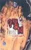 守望家园(上,下)