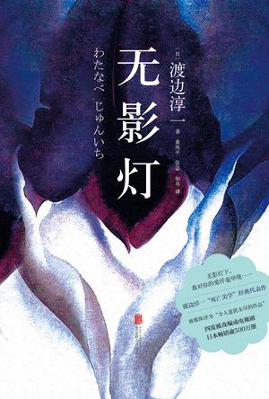 无影灯（精装版）