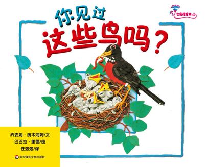 你见过这些鸟吗?