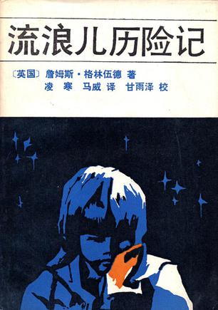 流浪儿历险记
