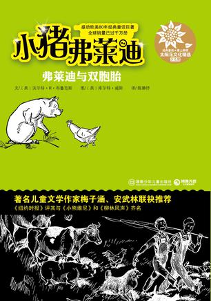 弗莱迪与双胞胎