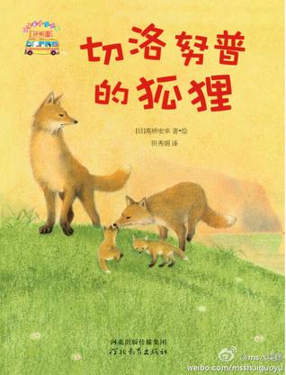 切洛努普的狐狸