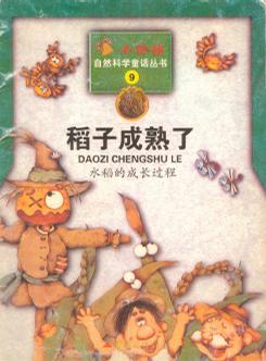 稻子成熟了:水稻的成长过程